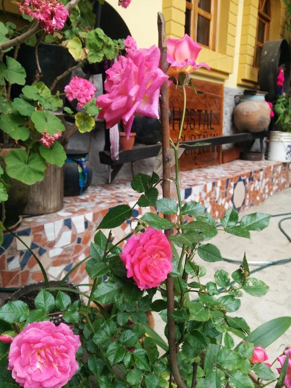 Hostal Curinan Otavalo Dış mekan fotoğraf